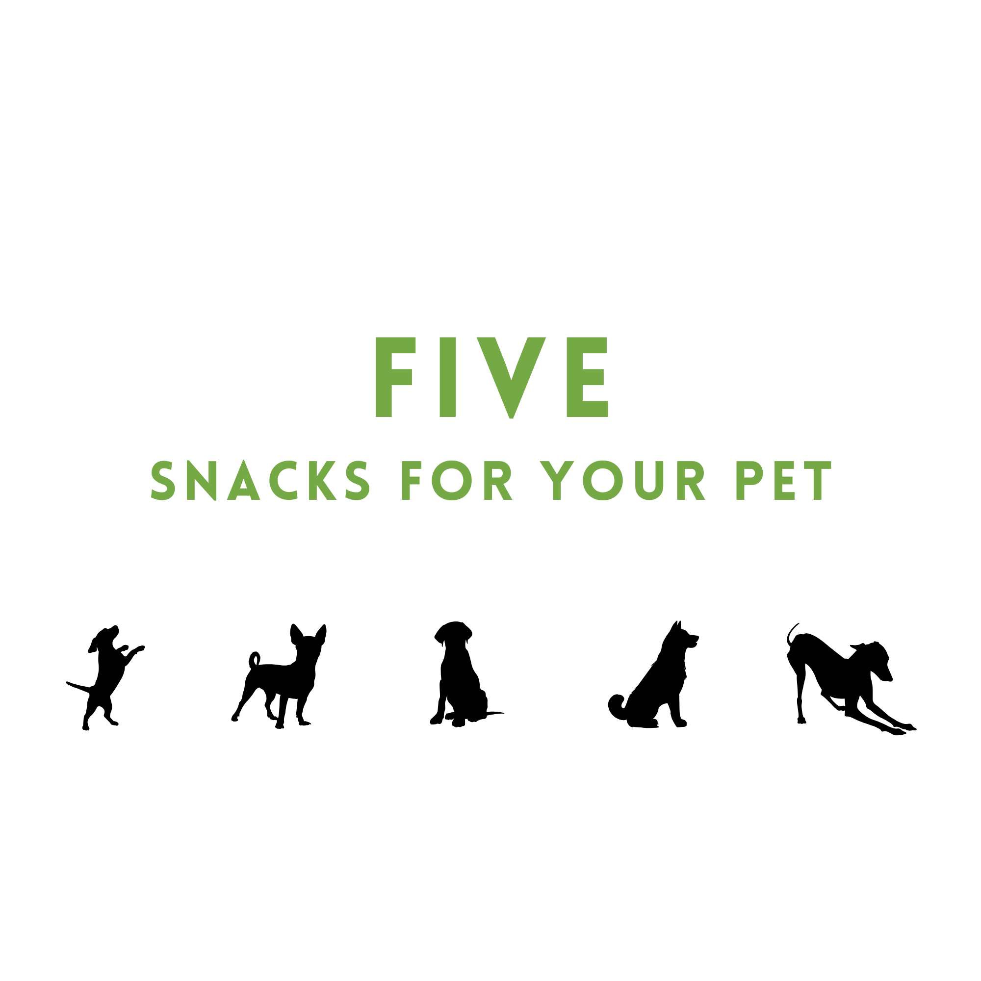 Five Snacks For Your Pet