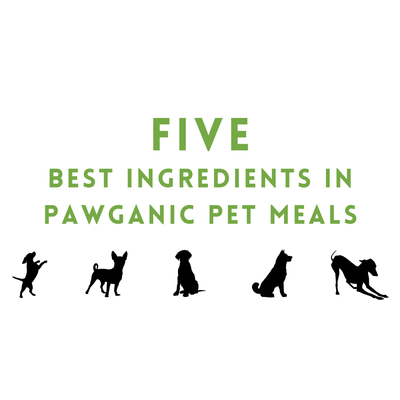 Five Best Ingredients in Pawganic Pet Meals