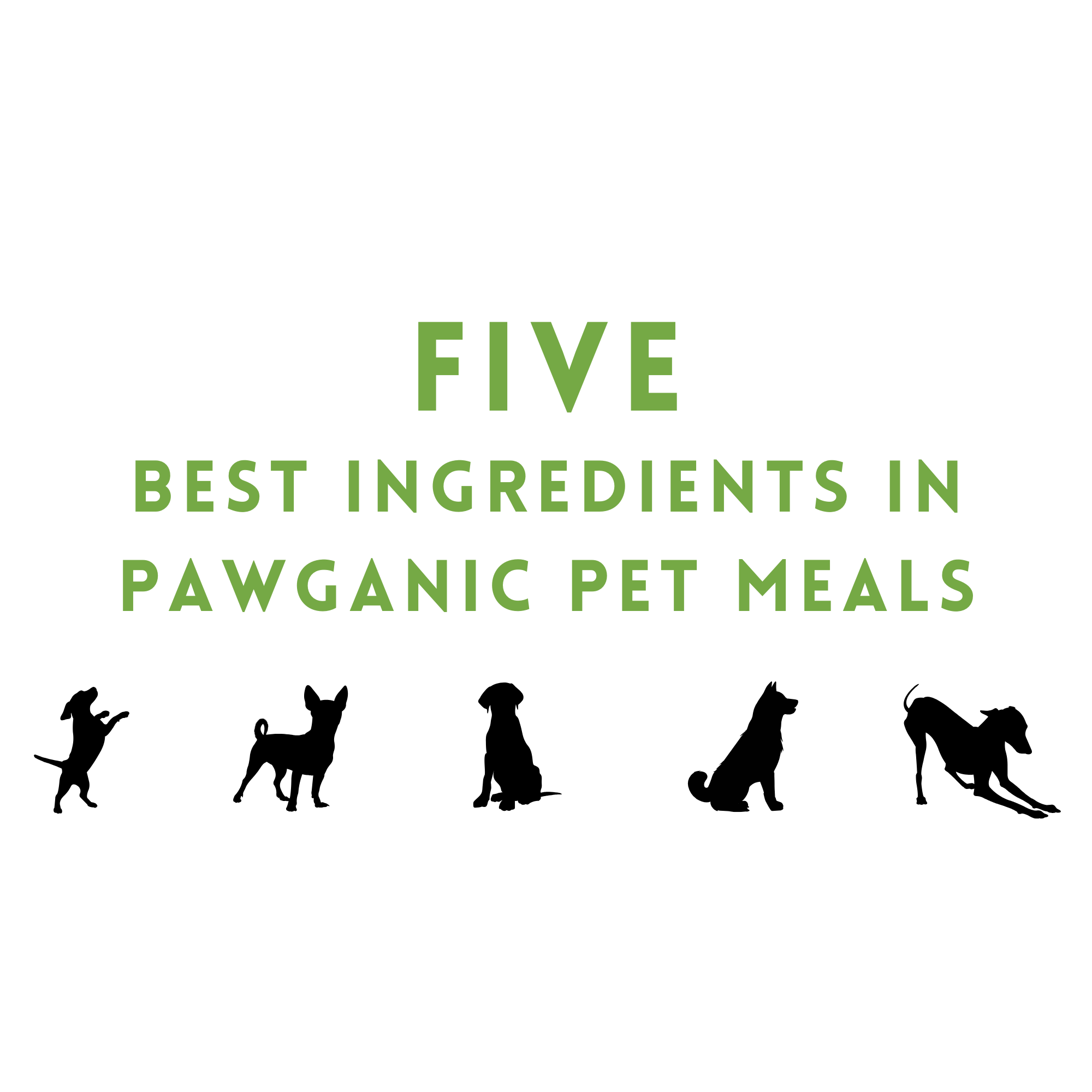 Five Best Ingredients in Pawganic Pet Meals