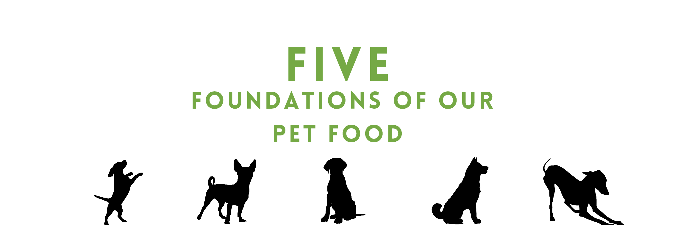 Five Foundations of our Pet Food