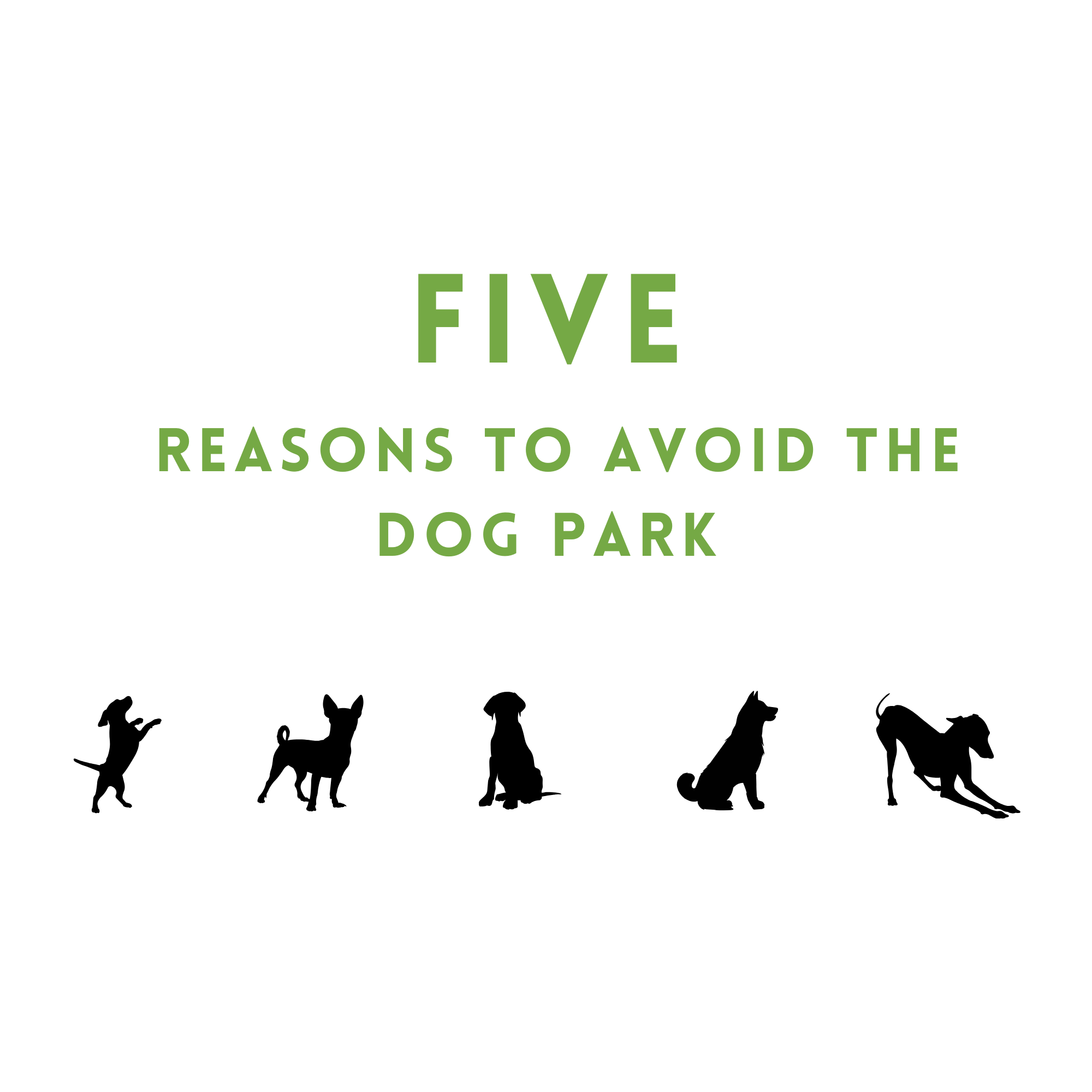 Five Reasons to Avoid the Dog Park – Pawganic Pet Food