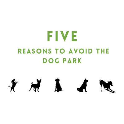 Five Reasons to Avoid the Dog Park